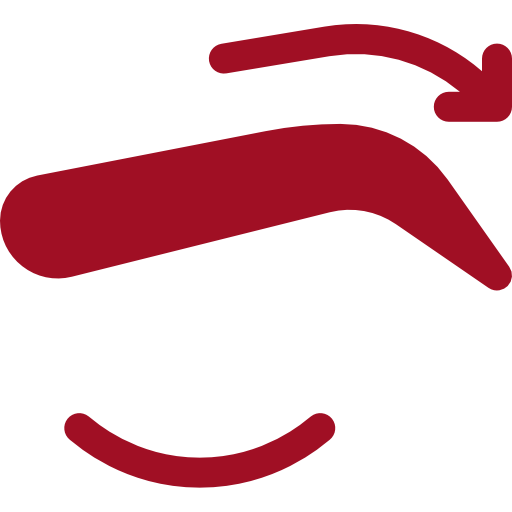  Transforme o design das suas sobrancelhas com um toque único